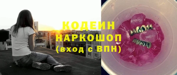 ГАЛЛЮЦИНОГЕННЫЕ ГРИБЫ Аркадак