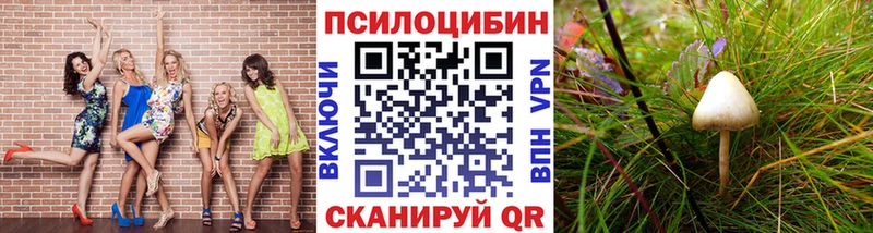 Псилоцибиновые грибы прущие грибы Няндома