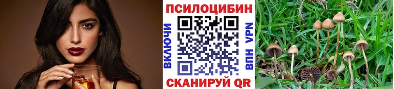 blacksprut   Няндома  Галлюциногенные грибы Psilocybe 